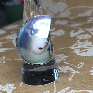 SALE Sterling Silver and Light Blue Shell Ring - adjustable